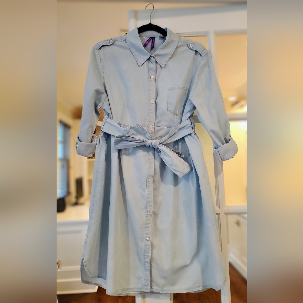 Seraphine denim dress